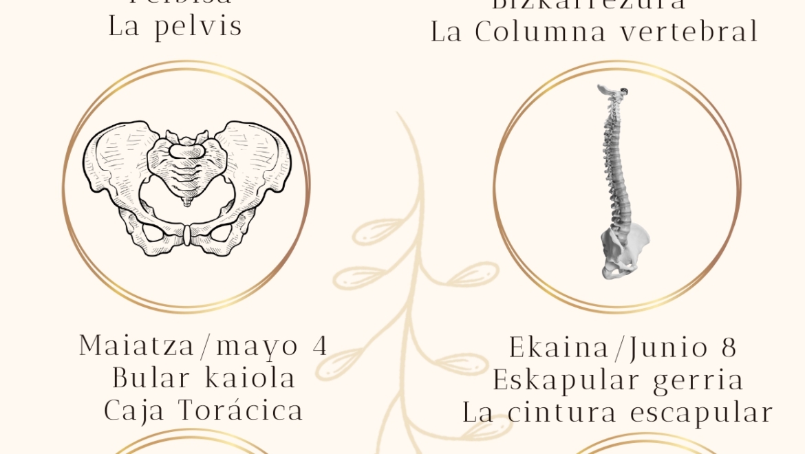 Yoga los domingos en Lasaibizi